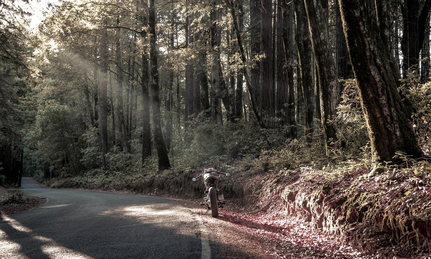 motorcycle nature lovers forest landscape