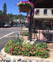 Bell Tower Garden Project Main Street Placerville California Community Pride Volunteers