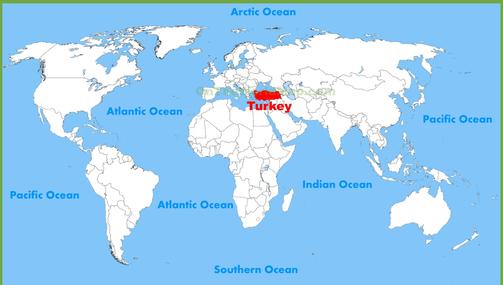 transparent about Turkey - Bahadir Gezer