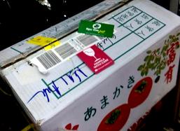 Cung cấp hồng giòn nhập khẩu giá rẻ tại Hà Nội