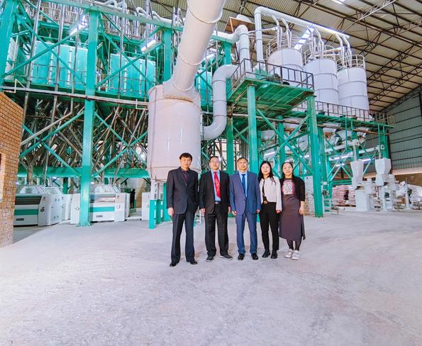 500ton per day corn flour milling plant in Zimbabwe