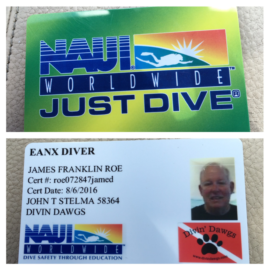 Home [www.frankroe.com]