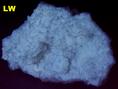 Fluorescent Calcite Hwy 183 & Loop 1 interchange Austin Texas