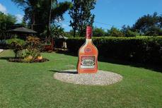 "Jamaica Rum Tour with Rocky's Taxi and Tour Service"