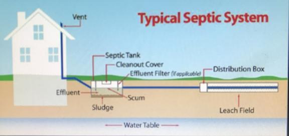 Septic Services