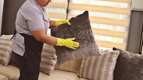 SEASONAL CLEANING SERVICES