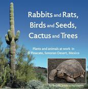 Desert ecology thru the eyes of a tortoise