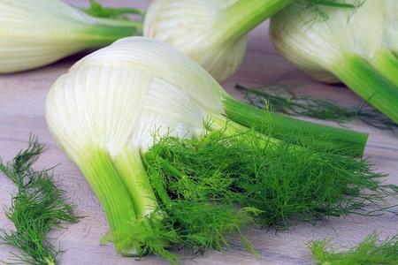 Fennel bulb