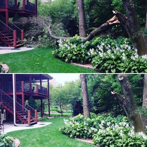 Before and after picture of storm damaged tree removal and tree clean up for a customer in Omaha NE