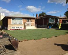 Sodding service sod installed in Oakville