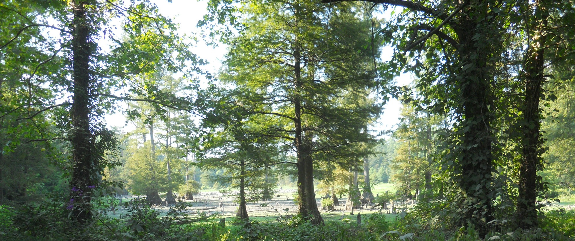 Barber & Kinney, LLC