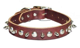 Spiked & Studded Latigo Collar