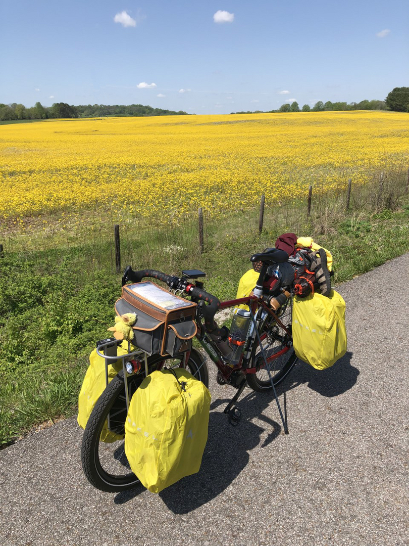 Touring cheap bike kickstand