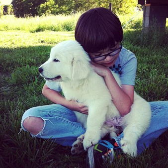 Wells' Providence Great Pyrenees Puppies ~ SUPERIOR breeder of purebred AKC Registered Great Pyrenees puppies for sale in Silex, Missouri Genuine Great Pyrenees breeder with verified reviews. This breeder strives to provide families with healthy puppies that have excellent temperaments. Wells Providence Great Pyrenees AKC Livestock Guardian Dogs and puppies registered great pyrenees puppies for sale near me Breeder of AKC Champion bloodlines Great Pyrenees puppies for sale Missouri, Wells' Providence Great Pyrenees LGD Puppies & Nigerian Dwarf Goats for sale, Wells' Providence AKC champion pedigree Great Pyrenees puppies for sale Missouri, Livestock Guardian dogs, home of Disney Santa Paws 2 Mrs. Paws Lady