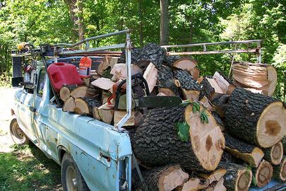 Excellent Log Removal Service in Lincoln NE | LNK Junk Removal