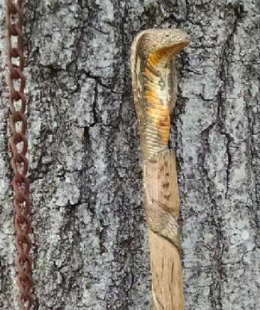Bend in the Road Solid Hardwood Walking Stick: Wandering Road - TV6176 -  Design Toscano