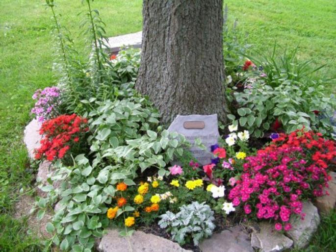Best Flower Care Service and Cost Las Vegas NV Las Vegas NV| Service-Vegas