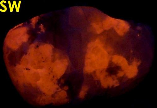 fluorescent SODALITE, Aegirine, Ilimaussaq complex, Narsaq, Kujalleq (Kitaa Province; West Greenland), Greenland - type locality of Sodalite