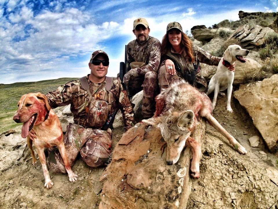 This Coyote Decoy Dog's job is to lure pest Coyotes out, so Coyotes  attacking livestock can be dealt with. : r/Damnthatsinteresting