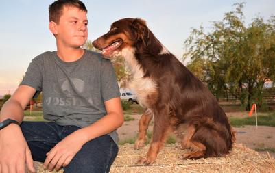 Best family dogs
