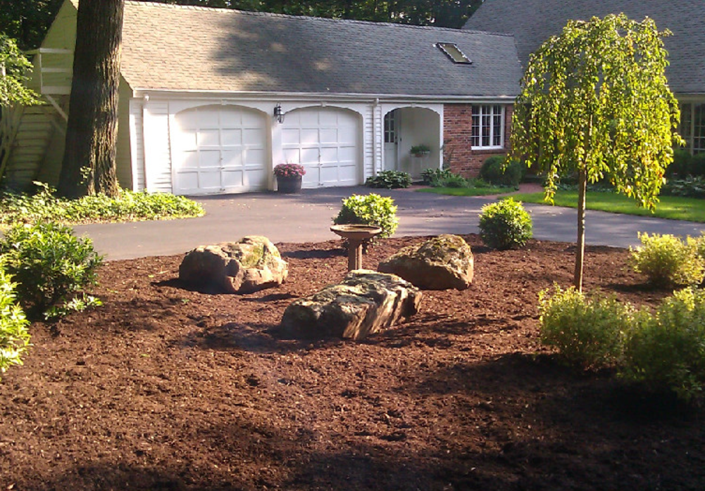 Clarks landscaping online