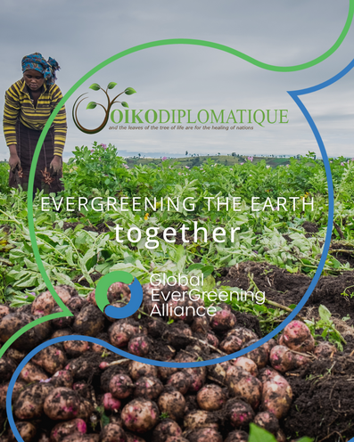 OikoDiplomatique Joins the Global EverGreening Alliance