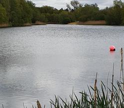 Redricks Lake Deep to Shallow