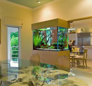 custom aquariums, okauchee, mequon, modern aquarium,