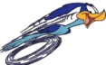 alt="road runner bird in fast motion"