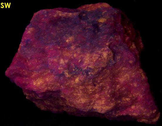 fluorescing SW LW CLINO-SUENOITE, TREMOLITE - International Talc Company Mine No. 8 (Reynolds Mine), Talcville, St.Laurence County, New York, USA