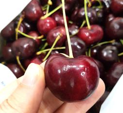 cherry Mỹ, quả cherry Mỹ tại Hà Nội