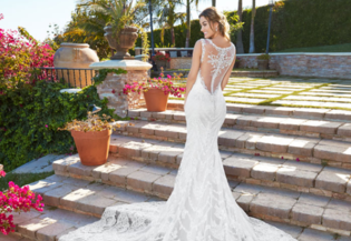  Bridal  Gowns for the Worcester  MA Area