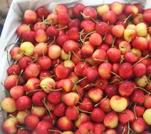 bán chery Mỹ tại Hà Nội giá rẻ