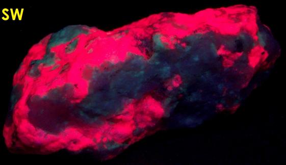 fluorescent Tugtupite, Aegirine Acmite,Tasseq Slopes (Taseq Slopes), Tasseq area, Ilimaussaq complex, Narsaq, Kujalleq, Kitaa Province, West Greenland, Greenland, Denmark