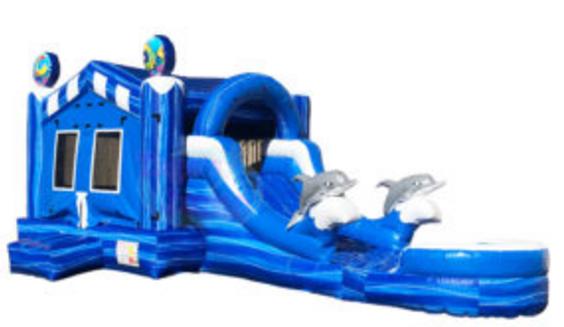 4/1 Dolphin combo Water Slide