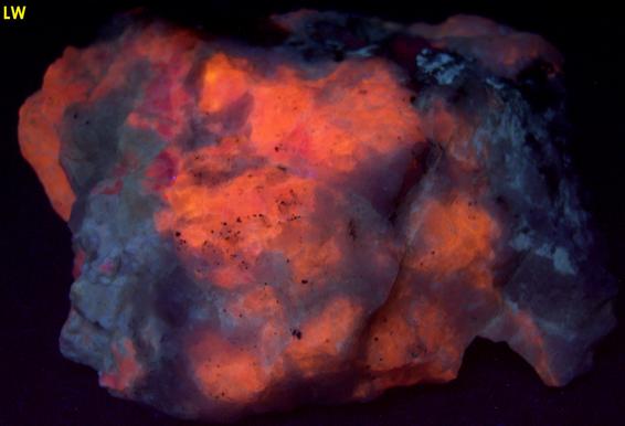 tenebrescent fluorescent SODALITE HACKMANITE - Dungannon Township, Hasting County, Ontario, Canada - ex Franklin MiningMuseum, J.Baum