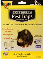 Baited Glue Rat Traps 2pk