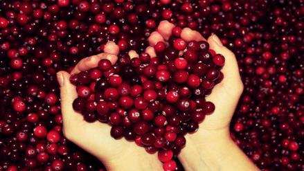 Cranberries