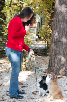 Rebecca Mason Dog Trainer