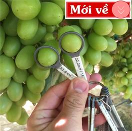 hoa quả nhập khẩu tại Trần Hưng Đạo