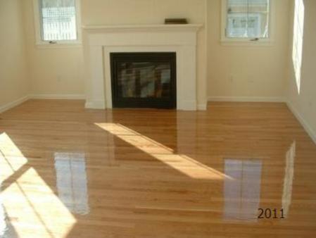 fireplace with hardwood floor surround