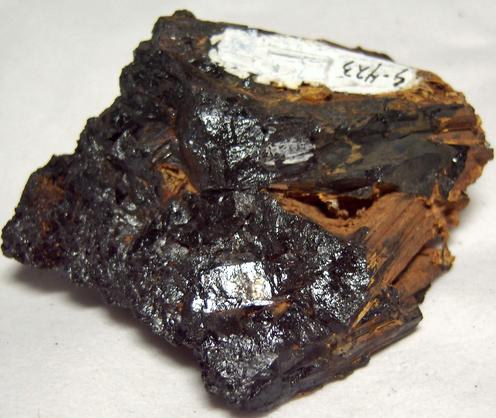 ILVAITE crystals - classic locality - Elba Island, Livorno Province, Tuscany (Toscana), Italy