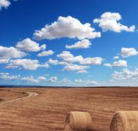 Landscape of a field of hay and haybales