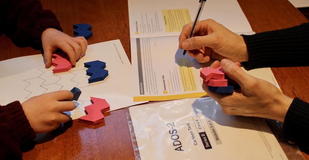 Autism assessment