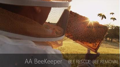 Del Mar Bee Removal Services - Del Mar Beekeeper