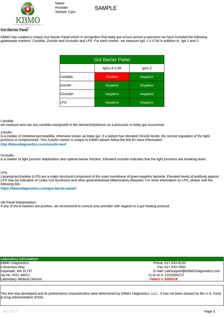 FIT 176 TEST - SAMPLE REPORT page 3