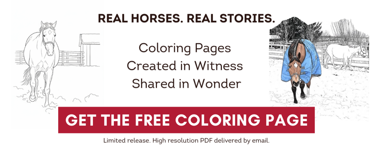 Free high-resolution coloring page of a rescued horse at Unbridled Sanctuary. Click to download.