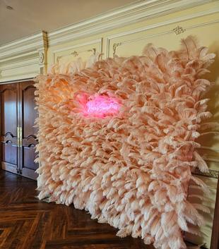 Red Feather Wall Backdrop #redfeatherwall
