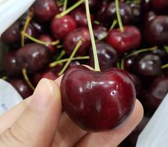 Bán quả cherry