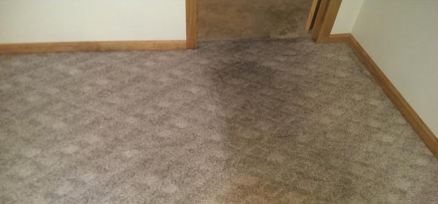 Personal Touch Carpet Cleaning